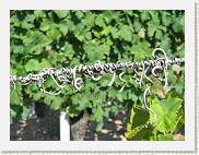 2005-09-04 14-22-32 Sept 55,1mm 1_320_eme F5,0 * 2592 x 1944 * (1.24MB)